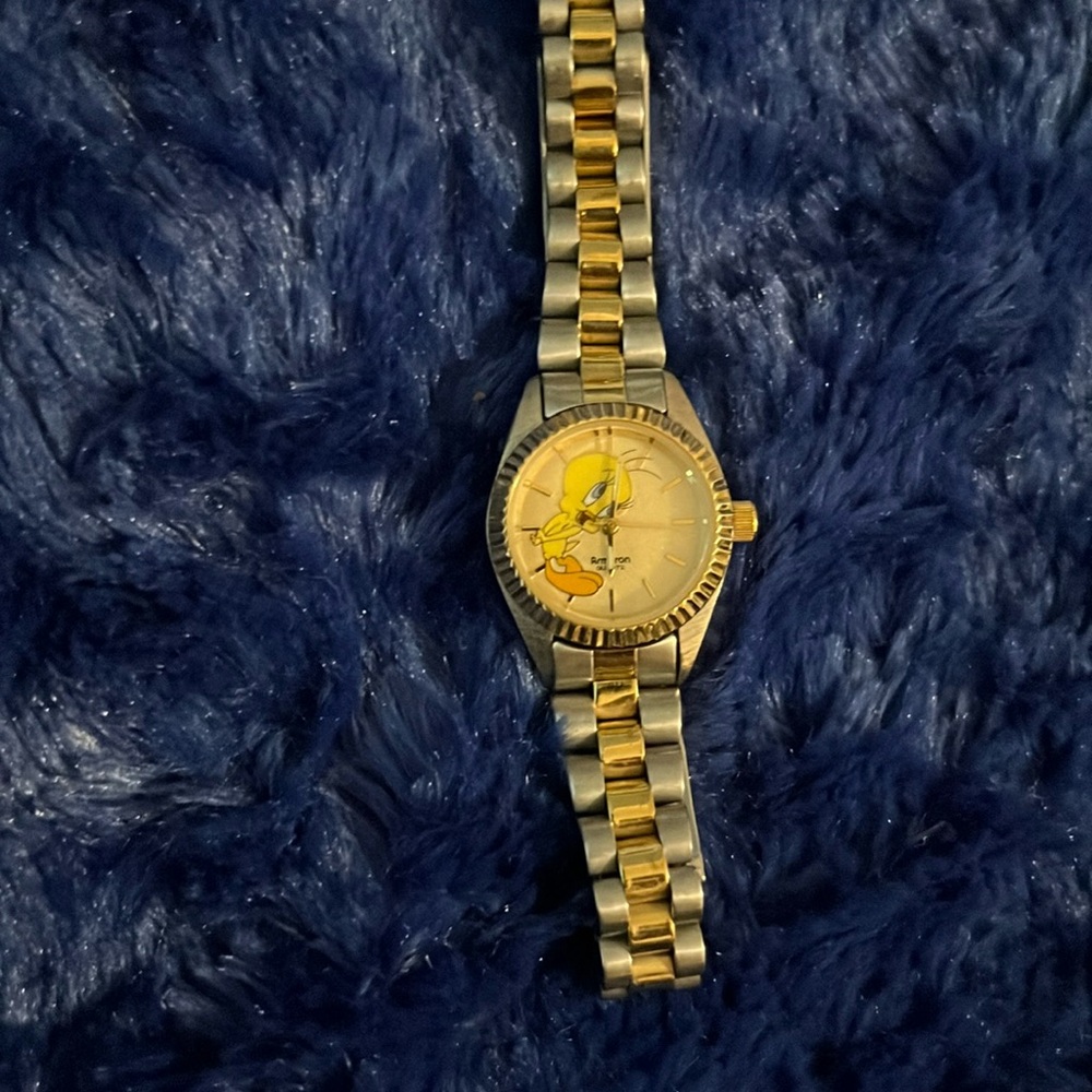 Stainless Steel tweety bird watch. Warner brothers, kids, non-smoking home.